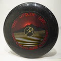 Discraft Sky-Styler w/ Wright Life Design