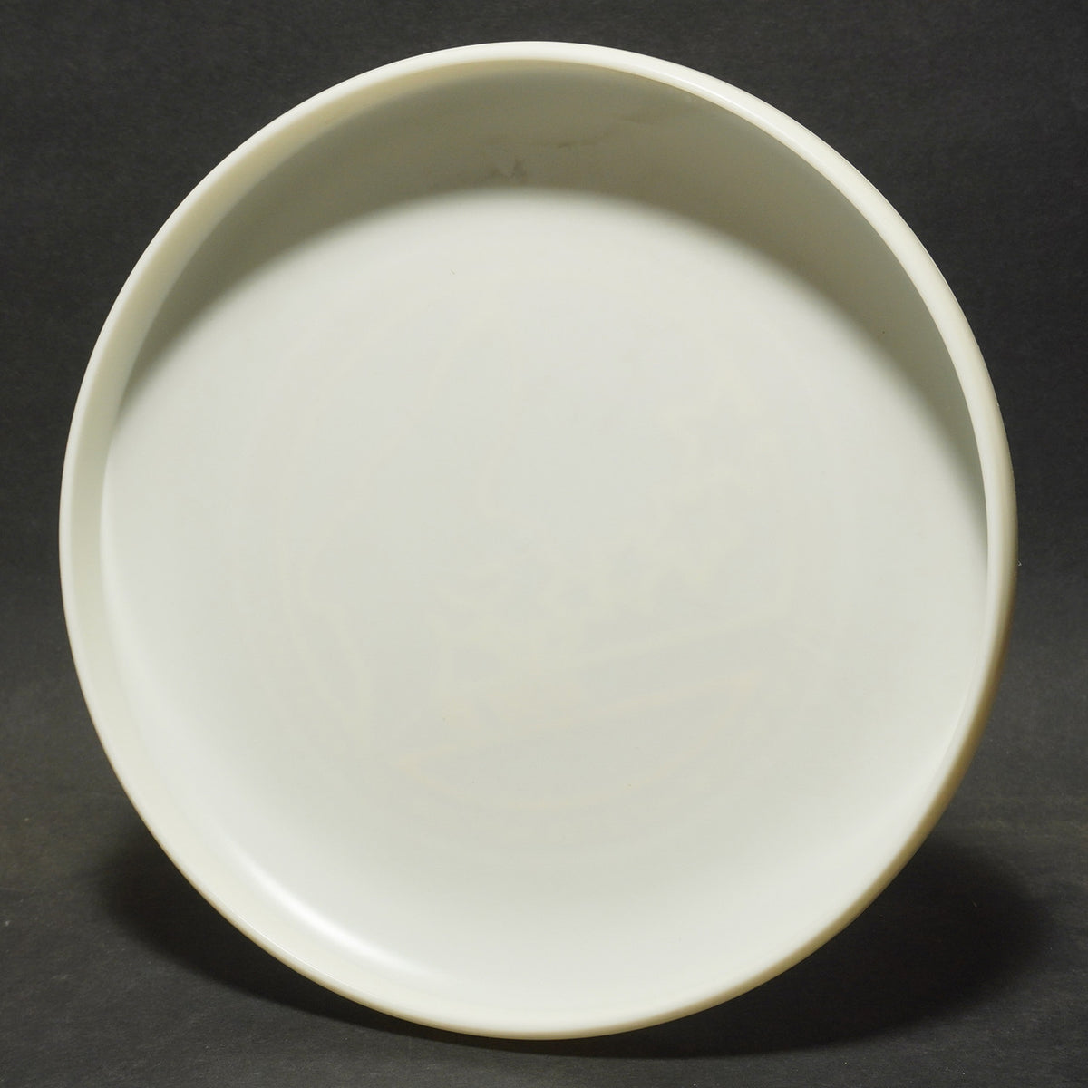 Sky-Styler '81 AFDO - American Flying Disc Open