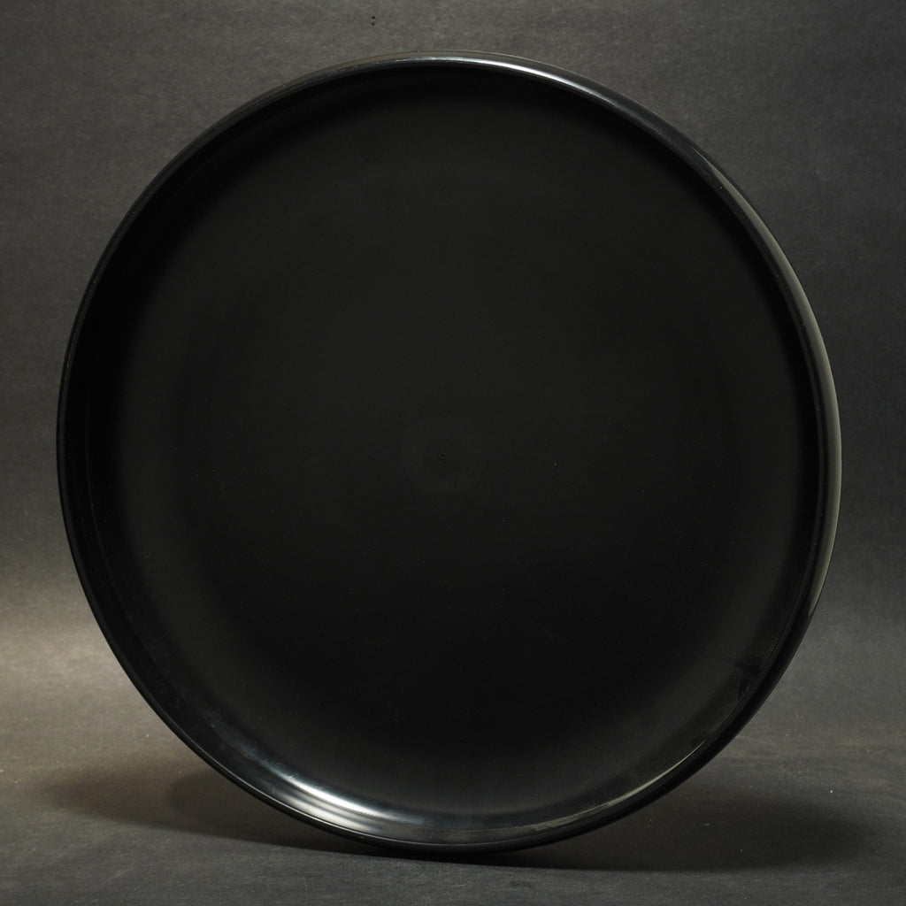 Discarft Sky-Styler - Washington Area Frisbee Club