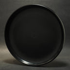 Discarft Sky-Styler - Washington Area Frisbee Club