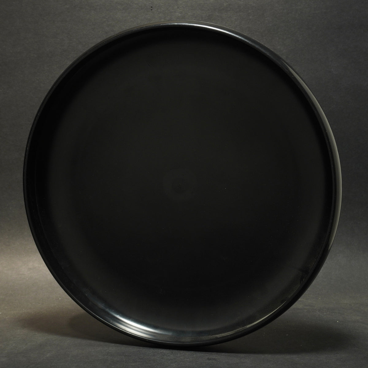 Discarft Sky-Styler - Washington Area Frisbee Club