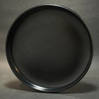 Discraft Sky-Styler 1984 FPA New World Tour