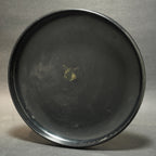 Discraft Sky-Styler Custom w/ Frisbee Boulder / Fort Collins