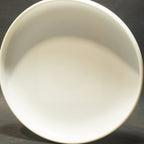 Destiny Discs Floater Hologram Decal