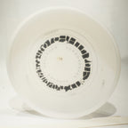 Wham-O Frisbee (80 C Mold) UPA States Disc