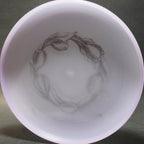 Wham-O Frisbee (82 E Mold) FPA 2007 Spread The Jam - 2