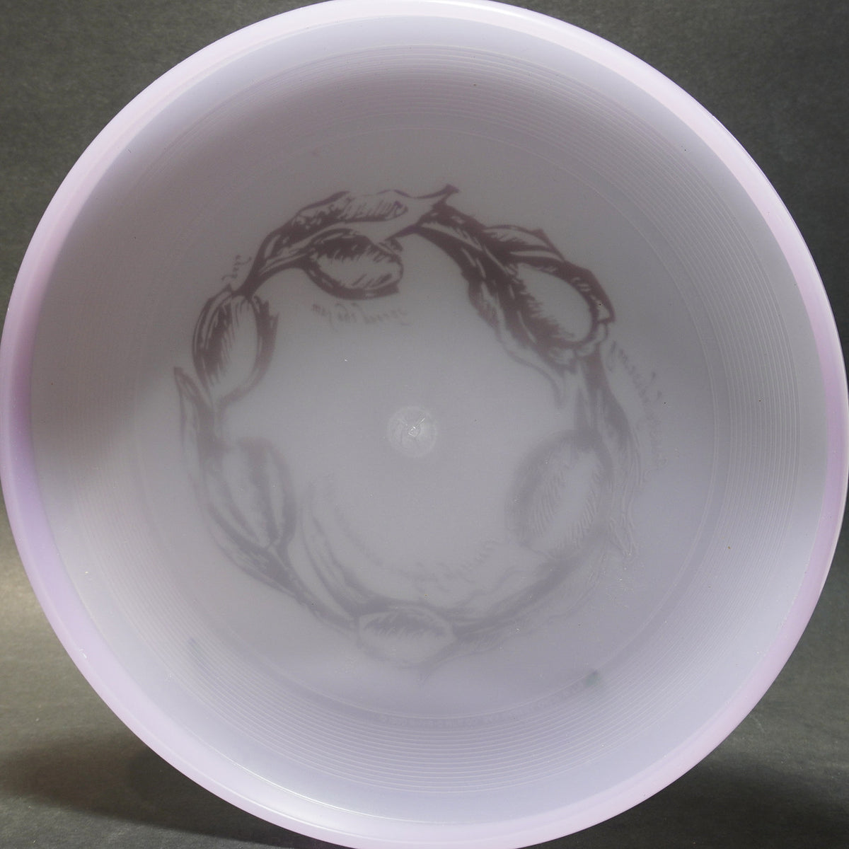 Wham-O Frisbee (82 E Mold) FPA 2007 Spread The Jam - 2