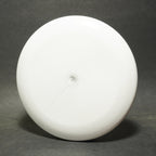 Jester Games Tail Spinner Proto Type - Disc Only