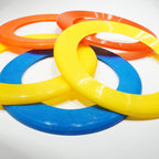 Assorted Whiz Rings