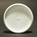 FPA Hall of Fame Mini Judge by Dynamic Discs - Schiller (SIGNED)