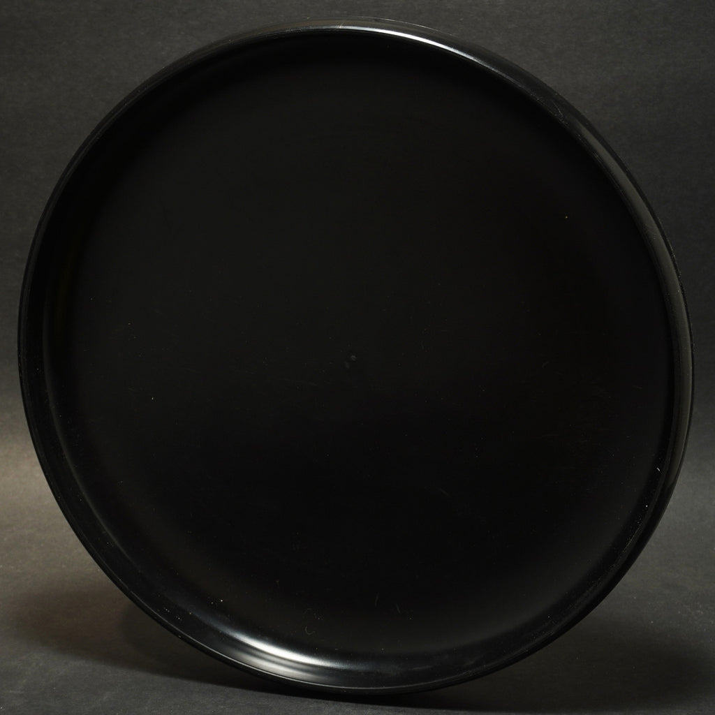 Discraft (Sky-Styler) AFDO '81