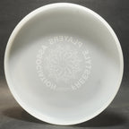 Wham-O World Class Frisbee (82 E) Freestyle Players Association '00