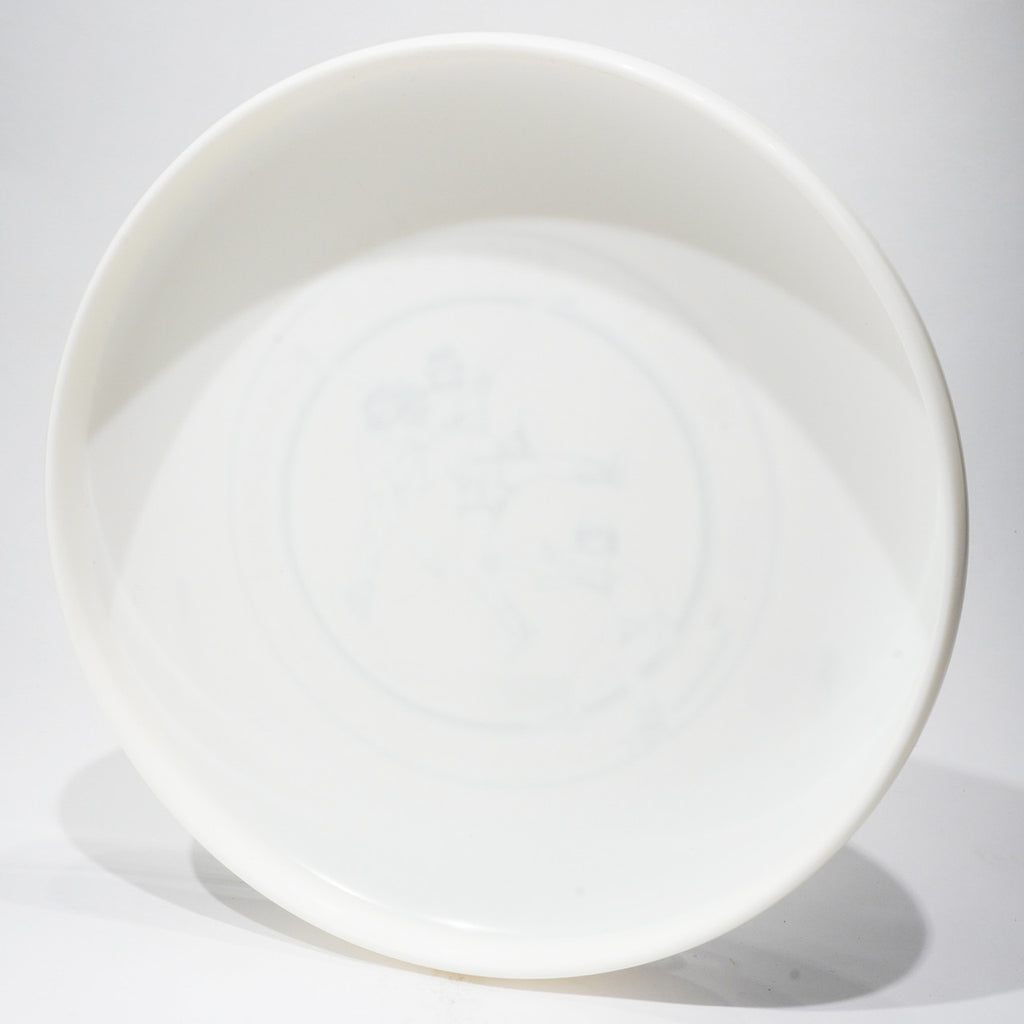 Discraft Sky-Styler 1981 World Disc Freestyle Champion Coloradicals