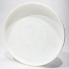 Discraft Sky-Styler 1981 World Disc Freestyle Champion Coloradicals