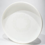 Discraft Sky-Styler Colorado Rocky Mountain Frisbee Roses 2