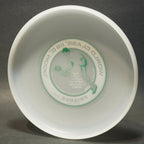 Wham-O North American Series Disc (40 F Mold) '81 Clear w/ Green