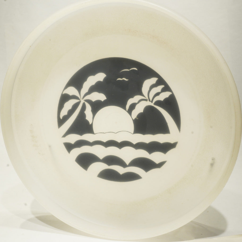 Destiny Discs Floater w/ Beach Scene Print
