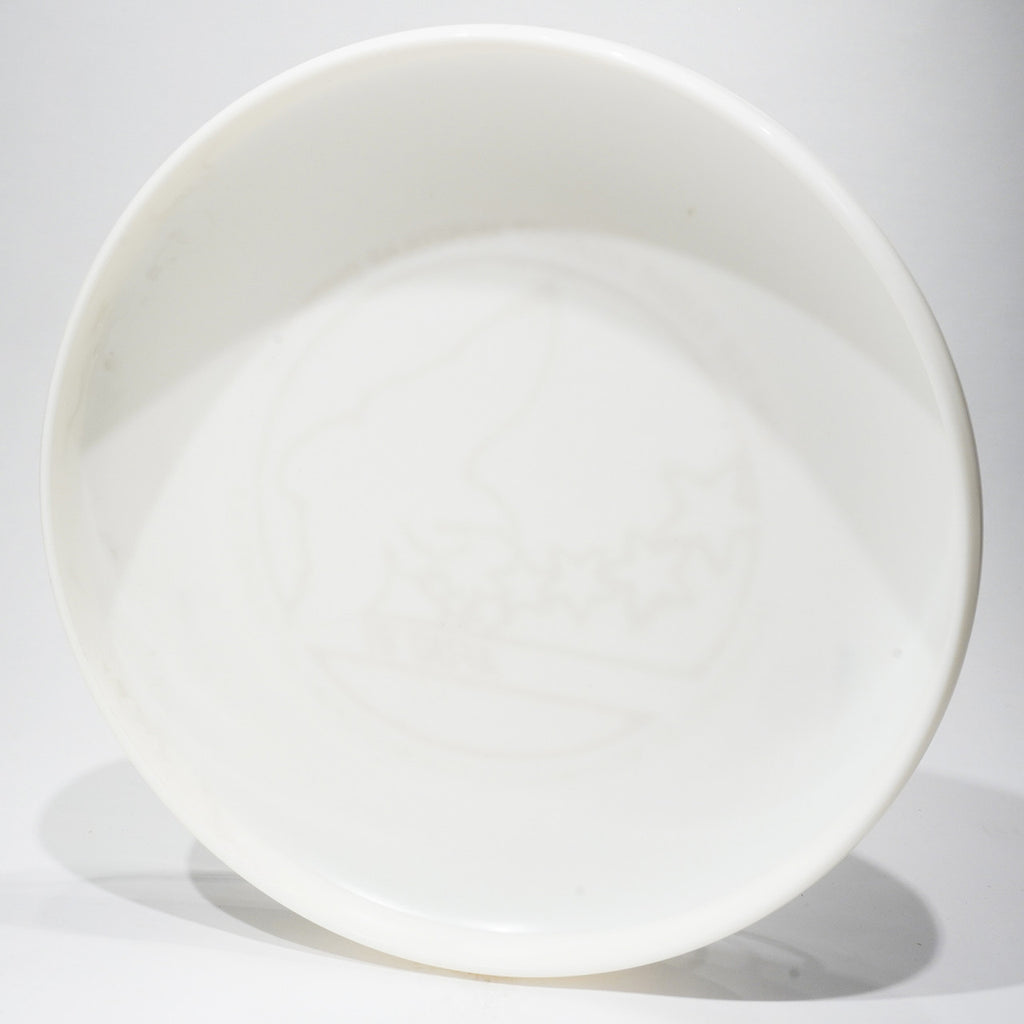 Sky-Styler '81 AFDO - American Flying Disc Open
