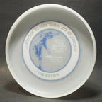 Wham-O North American Series Disc (80 C Mold) '80 Blue #2