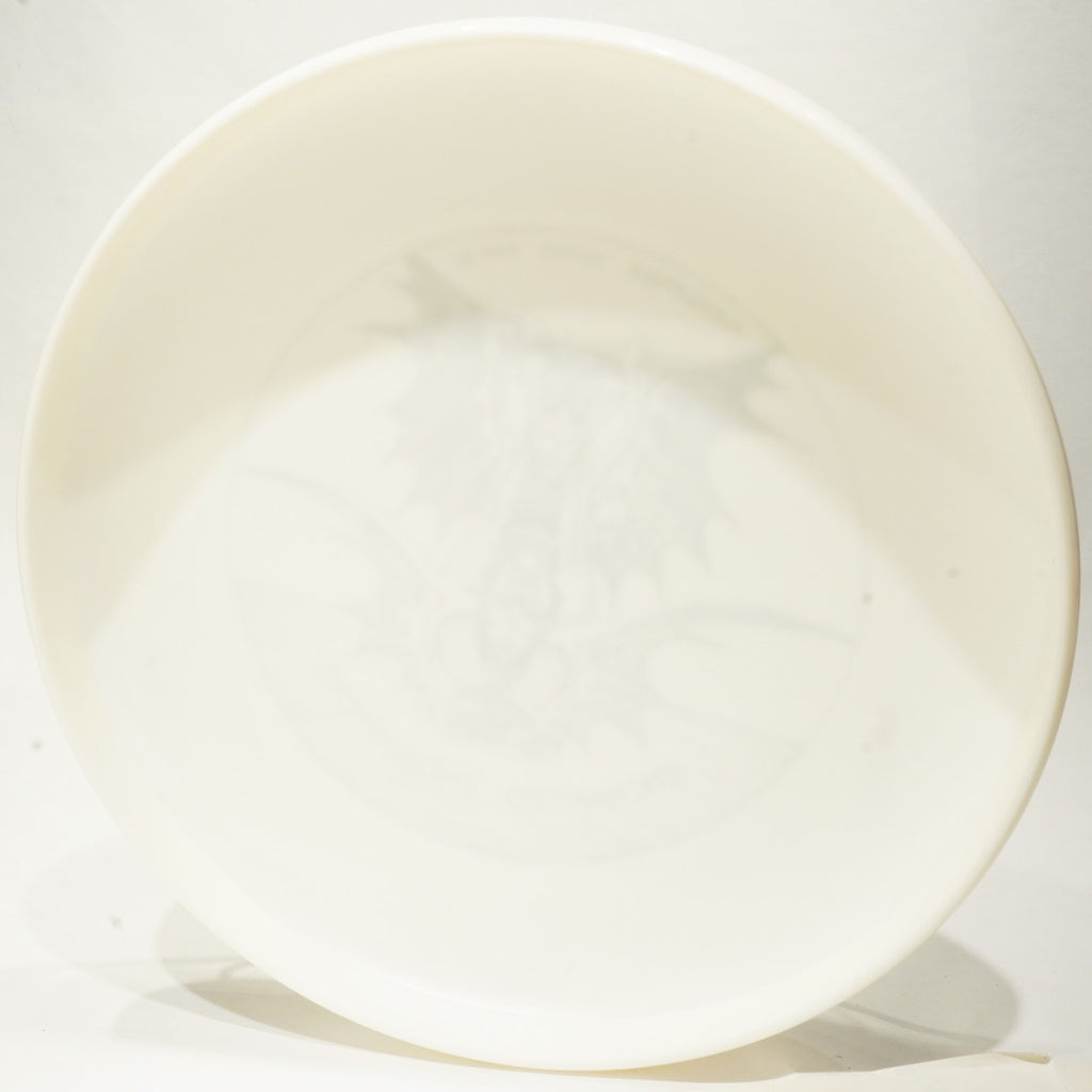 Discraft Sky-Styler Enchanted Encounters 1981